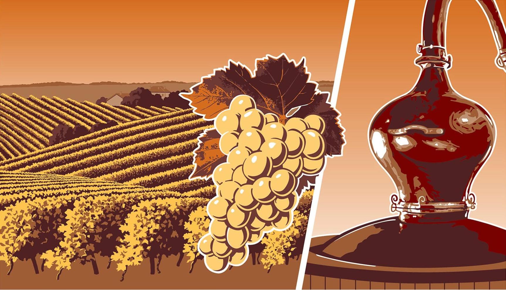 Photo du panneau : vignoble de Cognac